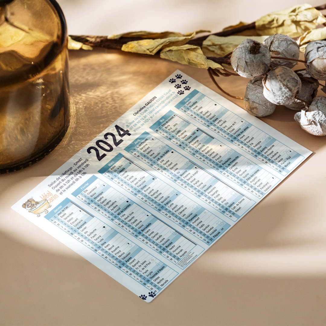 Idéal Canin portfolio