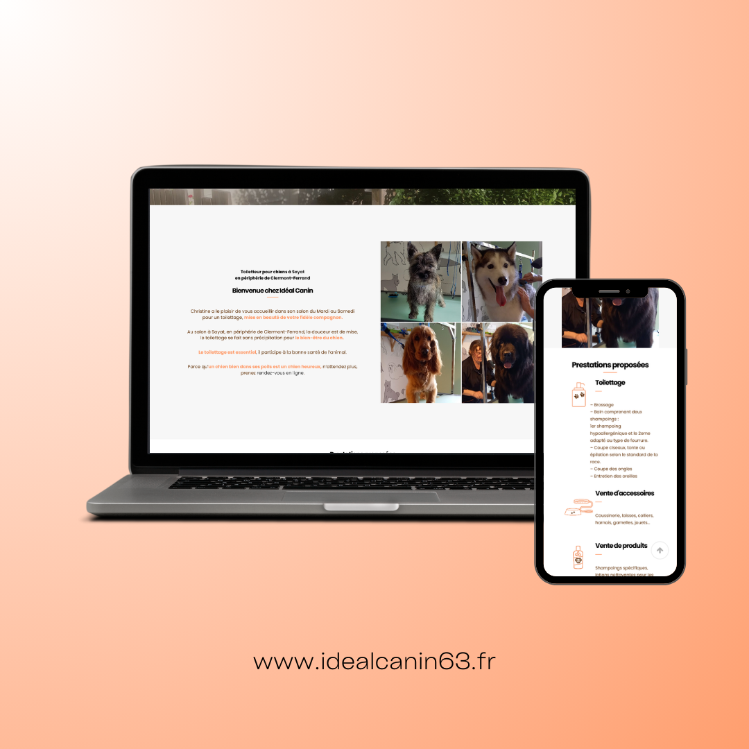 Portfolio web Ideal Canin