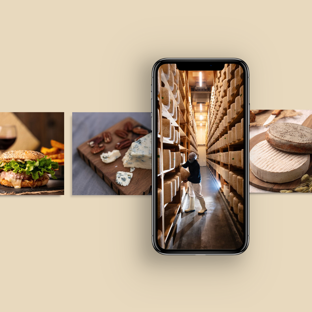 portfolio cm fromageries dischamp