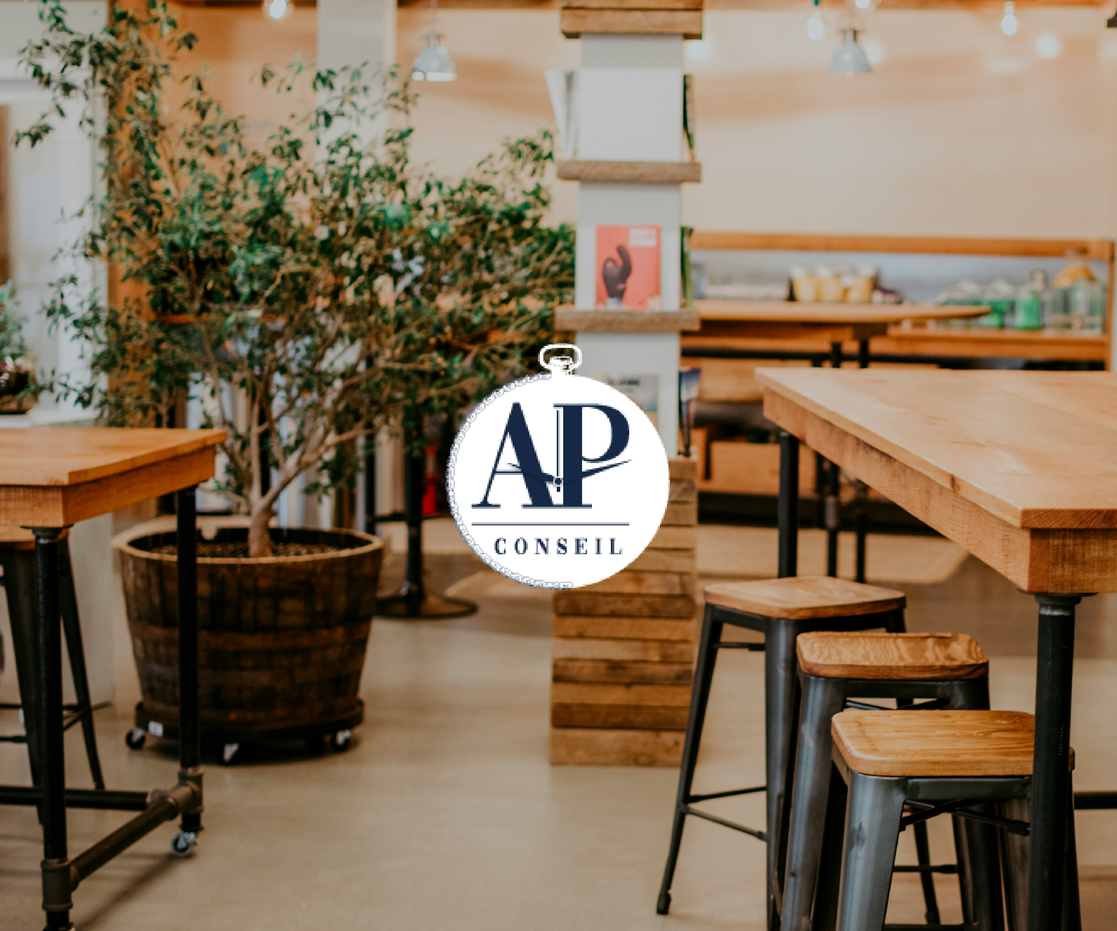 AP Conseil couv print