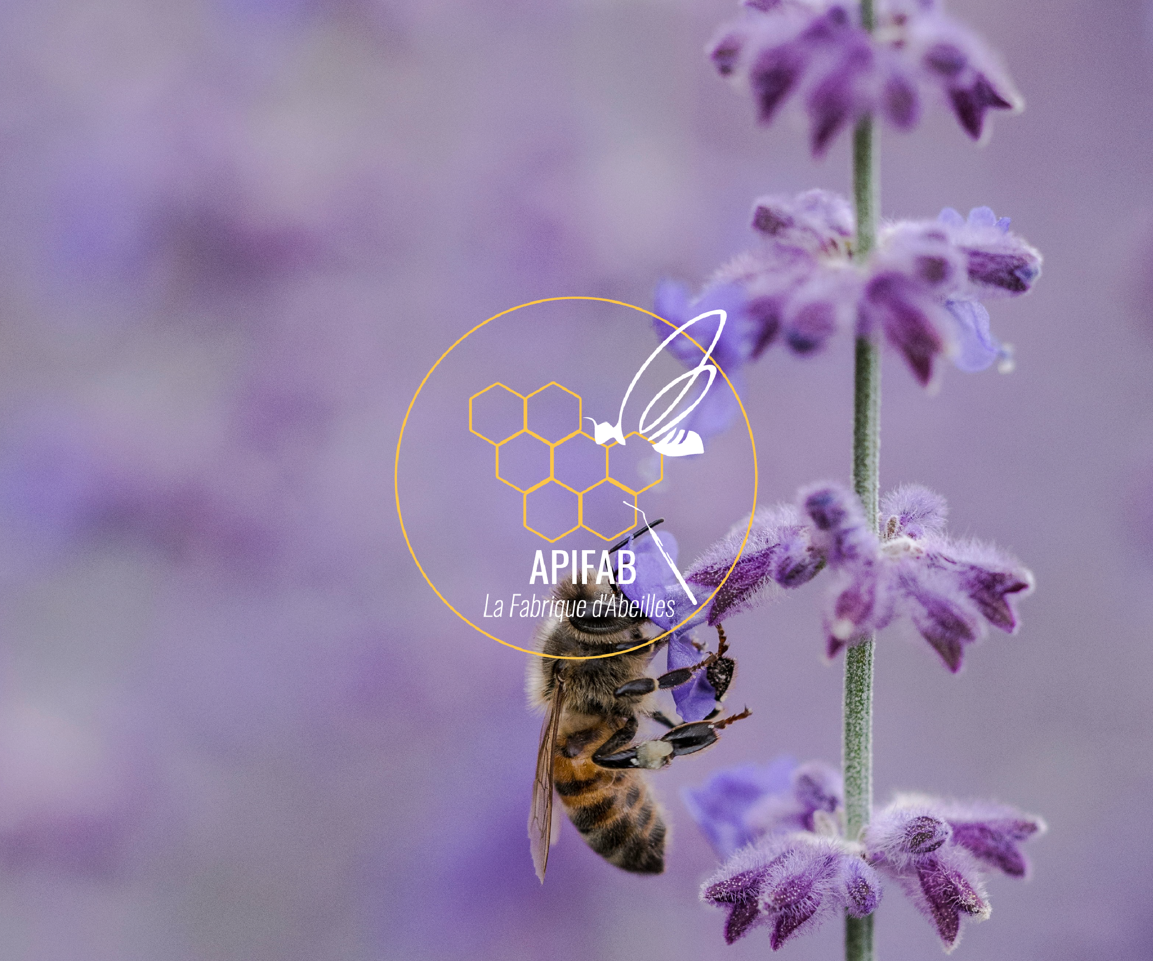 Apifab couv print