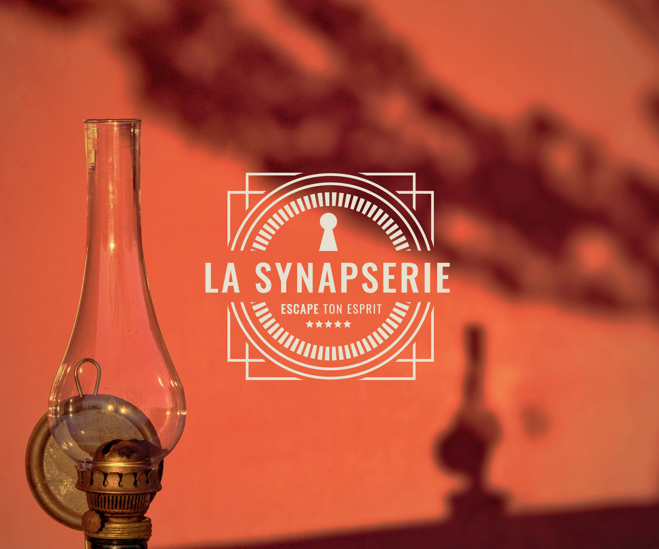 La Synapserie couv print