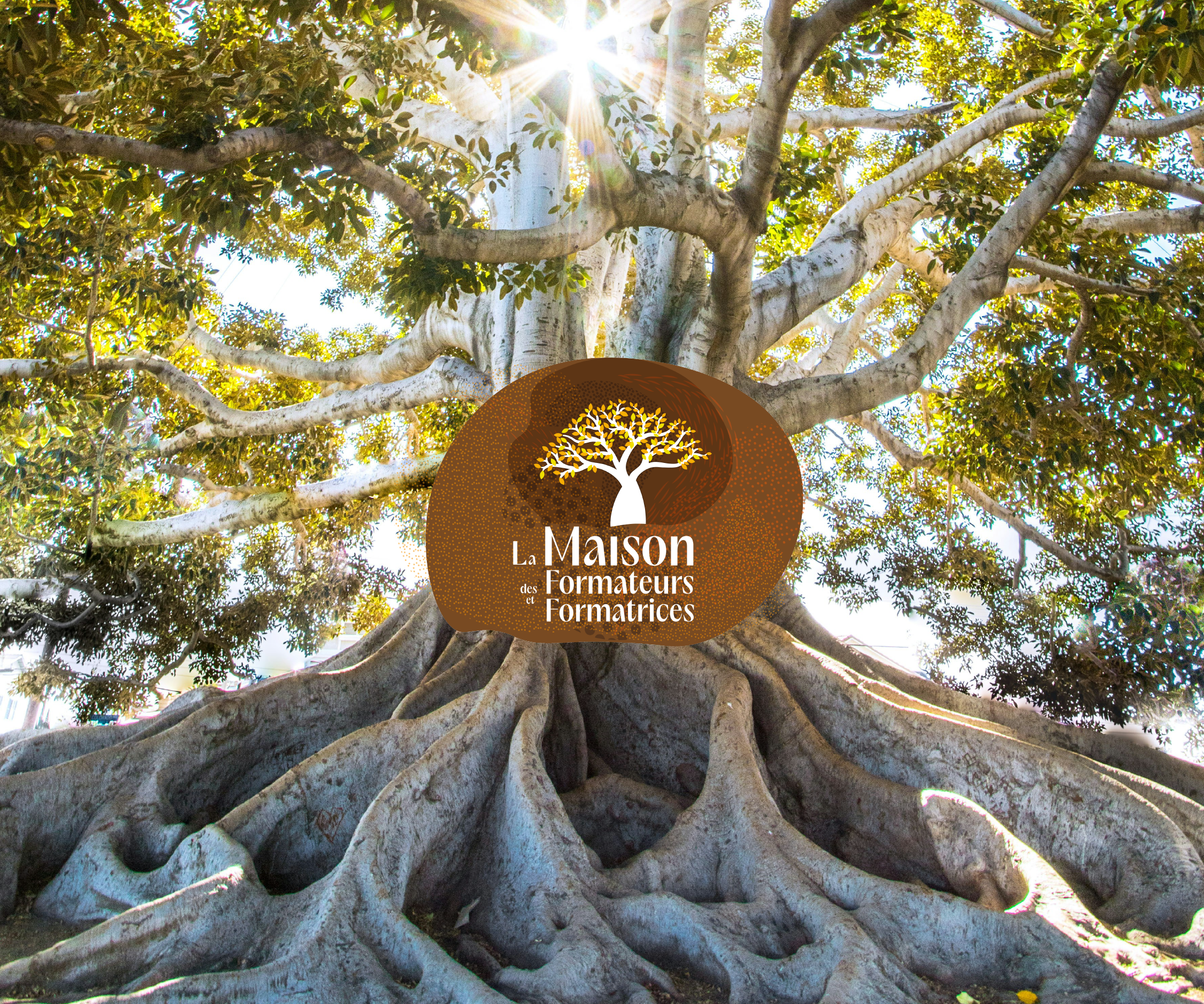 maison formateurs couv print