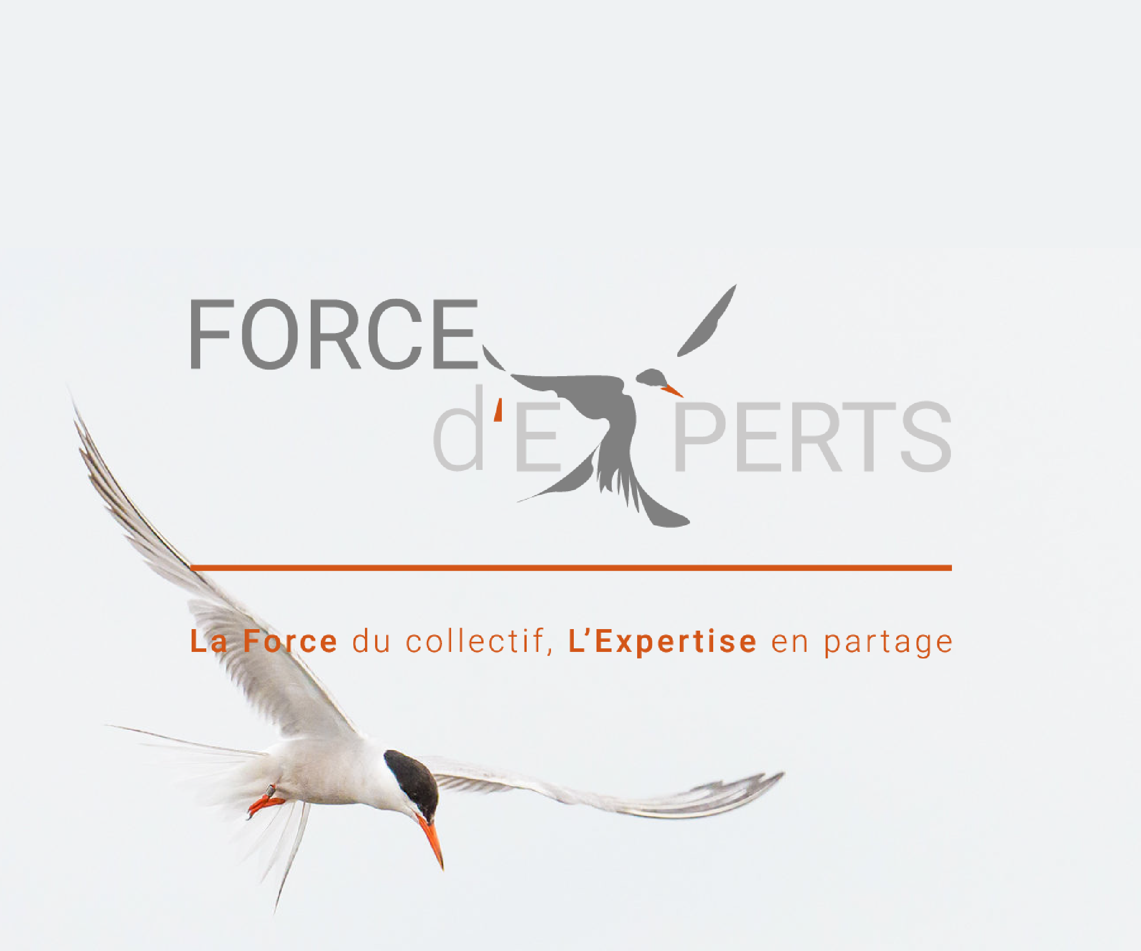 force d'experts couv print